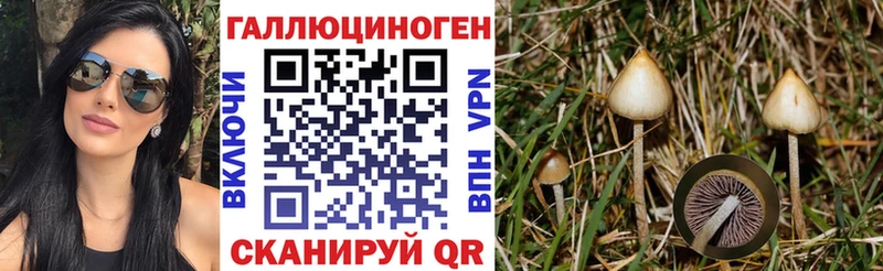 Купить закладки Курск Псилоцибиновые грибы прущие грибы